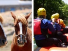 Rafting or horse riding?