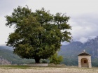 A voyage through time with the customs of the Carnival in the region of Epirus