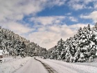 Interesting things to see and do on Mt. Mainalo in the Peloponnese