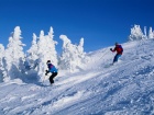 Live Snow Report for ski lovers 