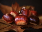 Shopping spree for nutritious local delicacies in Trikala of Korinth