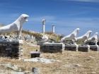 Delos island hosts specimens of exemplary ancient Greek history