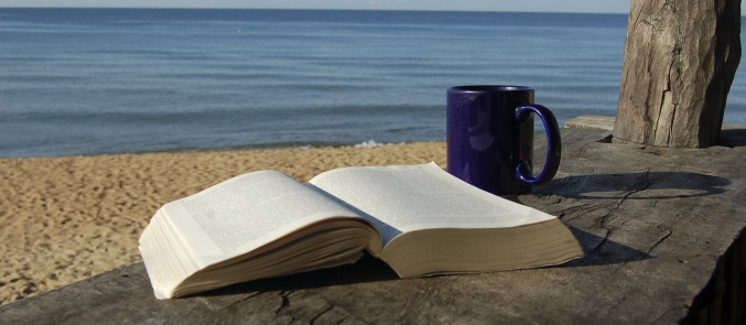 Reading a good book in a stunning beach...priceless 