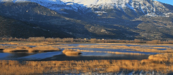 Aquatic surprises up high on the mountains of Korinthia