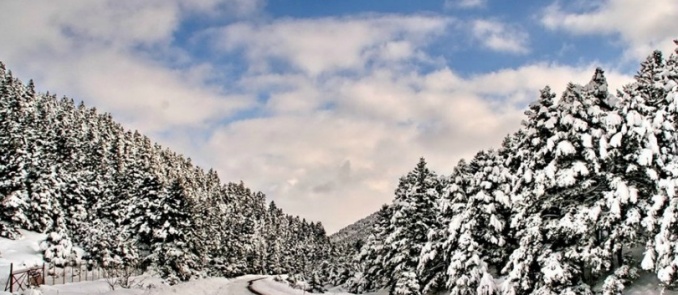 Interesting things to see and do on Mt. Mainalo in the Peloponnese