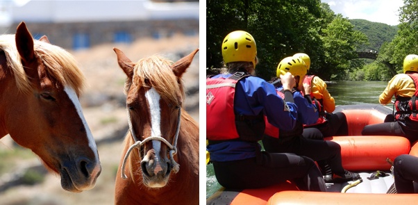 Rafting & Horse Riding 