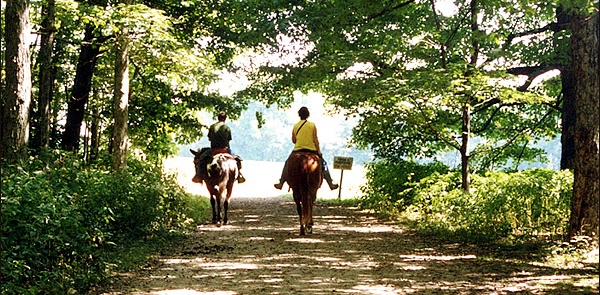 Christmas with horse riding within the beautiful Arcadic nature