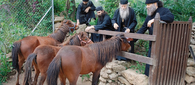 The existence of a contemporary ark in the region of Mani 