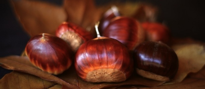 Shopping spree for nutritious local delicacies in Trikala of Korinth