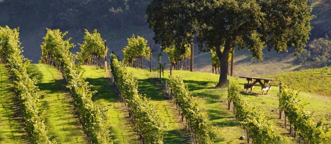 Plan the weekend ahead and visit the best wineries in Greece for free